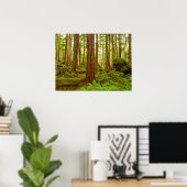 Gematigd regenwoud van Alaska Poster (Thuiskantoor)