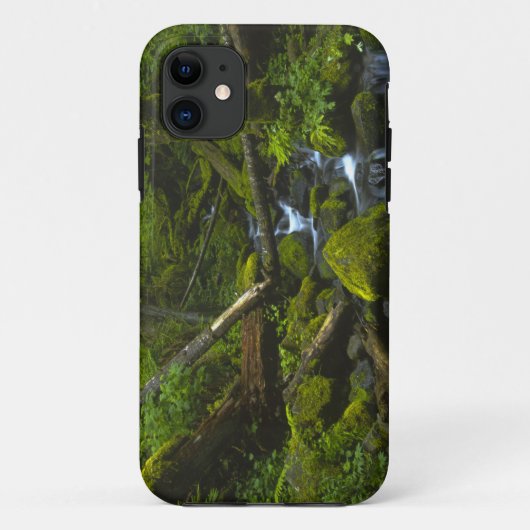 Gematigd regenwoudstroom in Columbia River Case-Mate iPhone Case (Achterkant)