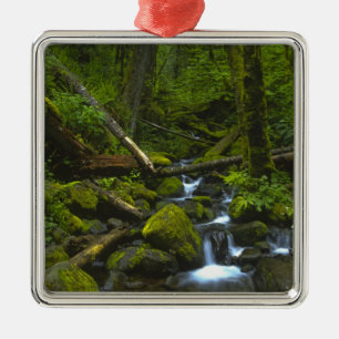Gematigd regenwoudstroom in Columbia River Metalen Ornament