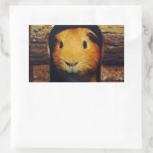 Gember cavia geschenken rechthoekige sticker (Tas)