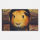 Gember cavia geschenken rechthoekige sticker (Voorkant)