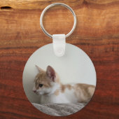 Gember en witte kitten sleutelhanger (Voorkant)