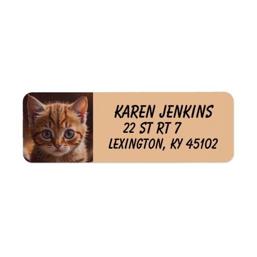 GEMBER KITTEN KAT Aangepaste Retouradreslabels Etiket (Voorkant)