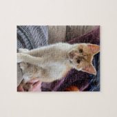Gember Kitten Legpuzzel (Horizontaal)
