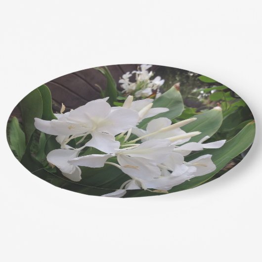 Gember Lelie Papieren Borden Papieren Bordje (Gekanteld)