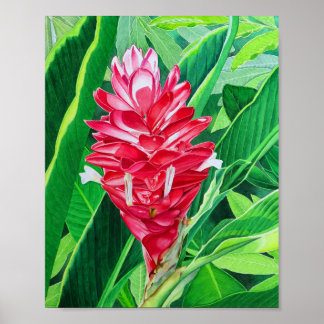 Gember Licht Poster
