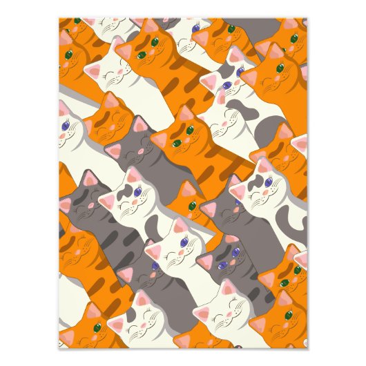 Gember wit zwart kat diagonaal patroon foto afdruk (Voorkant)