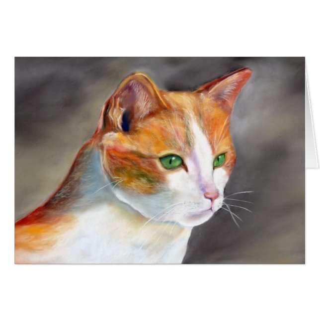  gemberkat (a348) (Voorkant Horizontaal)