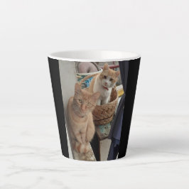 gemberkat Latte-Mok Latte Mok