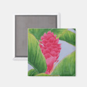 gembermagneet magneet (Voorkant / Achterkant)