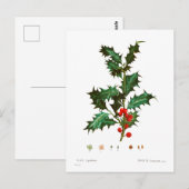 GEMEENSCHAPPELIJK BOTANISCH BRIEFKAART (Voorkant / Achterkant)