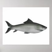 Gemeenschappelijk etiket poster (Voorkant)