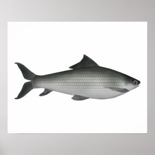 Gemeenschappelijk etiket poster