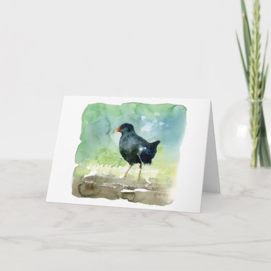 gemeenschappelijk waterhoen kaart (Voorkant)