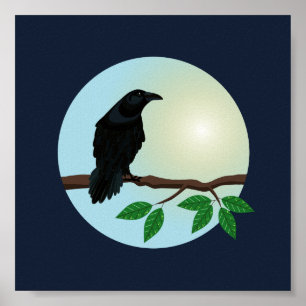 Gemeenschappelijke afbeelding van Raven Poster