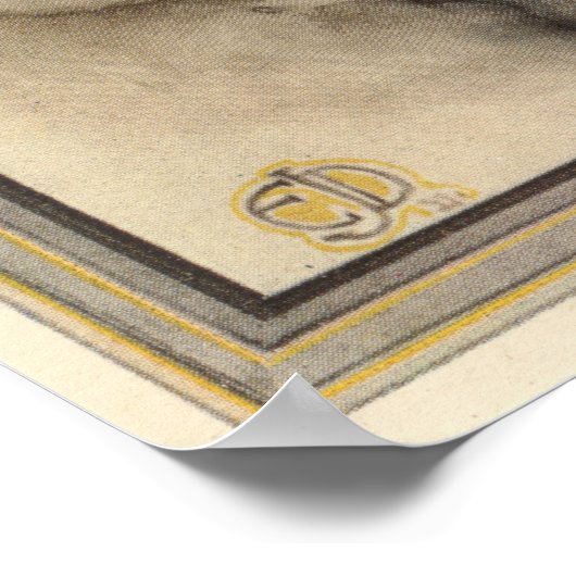 GEMEENSCHAPPELIJKE AFVALSTOFFEN - Insect Book Illu Poster (Hoek)