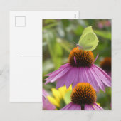 Gemeenschappelijke Brimstone Butterfly op Flower D Feestdagenkaart (Voorkant / Achterkant)