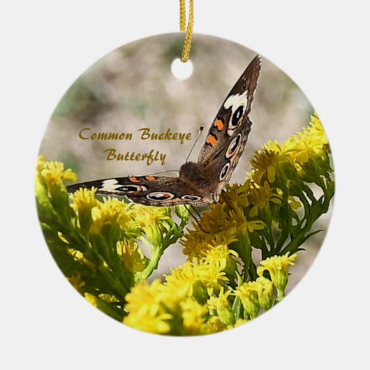 Gemeenschappelijke Buckey Butterfly Foto Ornament (Voorkant)