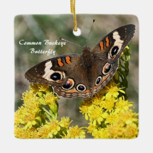 Gemeenschappelijke Buckey Butterfly Foto Ornament