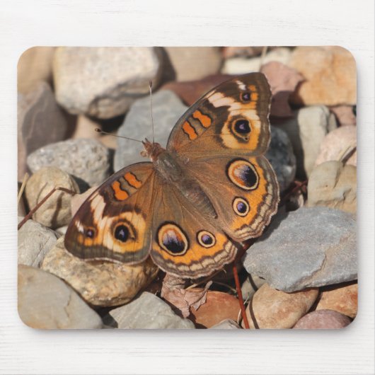 Gemeenschappelijke Buckeye Butterfly op River Rock Muismat (Voorkant)