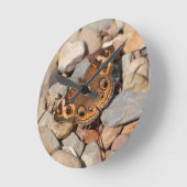 Gemeenschappelijke Buckeye Butterfly op River Rock Ronde Klok (Hoek)