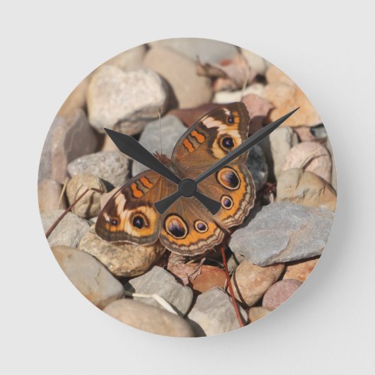 Gemeenschappelijke Buckeye Butterfly op River Rock Ronde Klok (Voorkant)