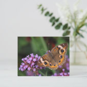 Gemeenschappelijke Buckeye Butterfly op Verbena Bl Briefkaart (Staand voorkant)