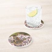 Gemeenschappelijke Buckeye op Roze Aster Zandsteen Onderzetter (Zijkant)