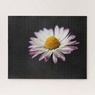 Gemeenschappelijke Daisy 16x20 520pc jpcnm Legpuzzel