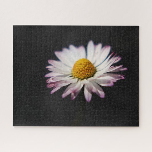 Gemeenschappelijke Daisy 16x20 520pc jpcnm Legpuzzel (Horizontaal)