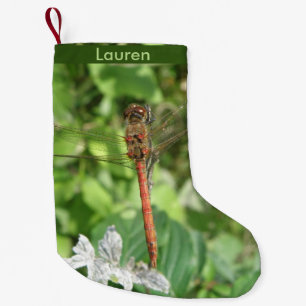 Gemeenschappelijke Darter Dragonfly Custom Christm Kleine Kerstsok