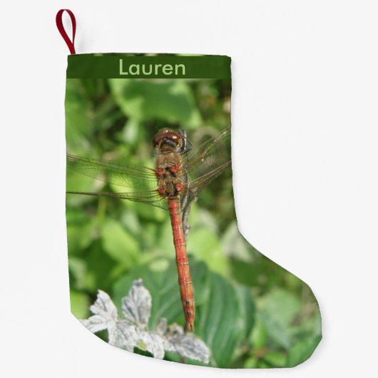 Gemeenschappelijke Darter Dragonfly Custom Christm Kleine Kerstsok (Voorkant)