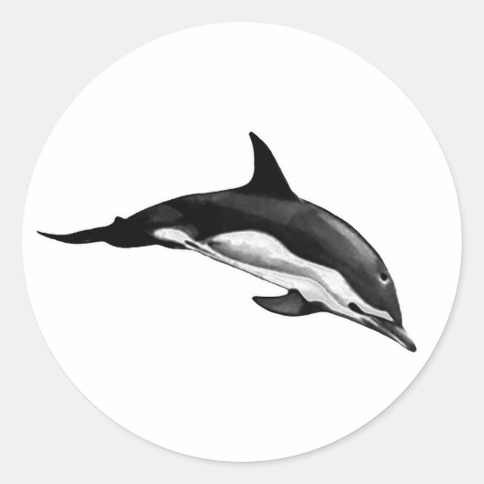 GEMEENSCHAPPELIJKE DOLFIN RONDE STICKER (Voorkant)