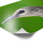 Gemeenschappelijke en Europese Starling Foto Afdruk (Hoek)