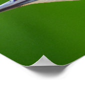 Gemeenschappelijke en Europese Starling Poster (Hoek)