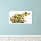 Gemeenschappelijke Europese kikker of eetbare kikk Canvas Afdruk (Insitu (Houten vloer))