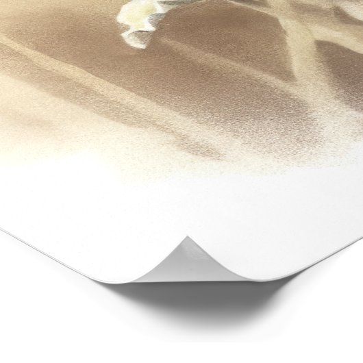 Gemeenschappelijke geruite vlinder Art Print Poste (Hoek)