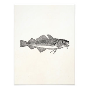  gemeenschappelijke kabeljauwvisserij - Sjabloon v Foto Afdruk