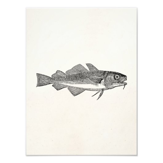  gemeenschappelijke kabeljauwvisserij - Sjabloon v Foto Afdruk (Voorkant)