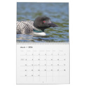 Gemeenschappelijke leeuw 2026 kalender (Mar 2026)