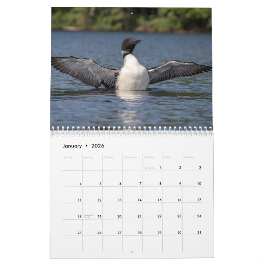 Gemeenschappelijke leeuw 2026 kalender (Jan 2026)
