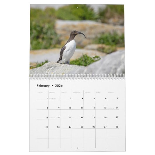 Gemeenschappelijke Murre Kalender 2026 (Feb 2026)