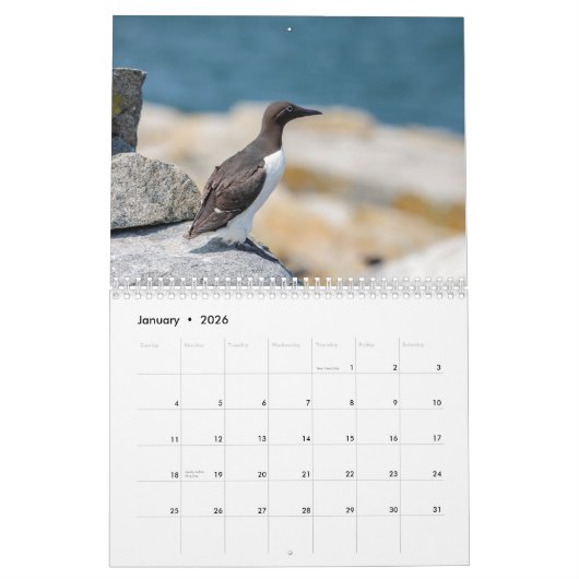 Gemeenschappelijke Murre Kalender 2026 (Jan 2026)