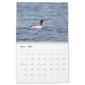 Gemeenschappelijke Murre Kalender 2026 (Mar 2027)