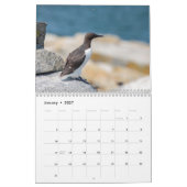 Gemeenschappelijke Murre Kalender 2026 (Jan 2027)