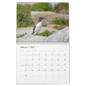 Gemeenschappelijke Murre Kalender 2026 (Feb 2027)