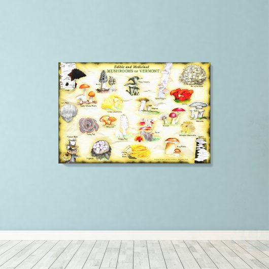 Gemeenschappelijke Namen Canvas 30x20 Paddenstoele (Insitu (Houten vloer))