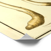 gemeenschappelijke paddenstoelen Kunst afdrukken Poster (Hoek)