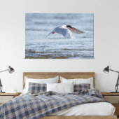 Gemeenschappelijke stern natuur foto canvas print (Insitu (Slaapkamer))