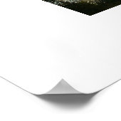 gemeente colorado poster (Hoek)